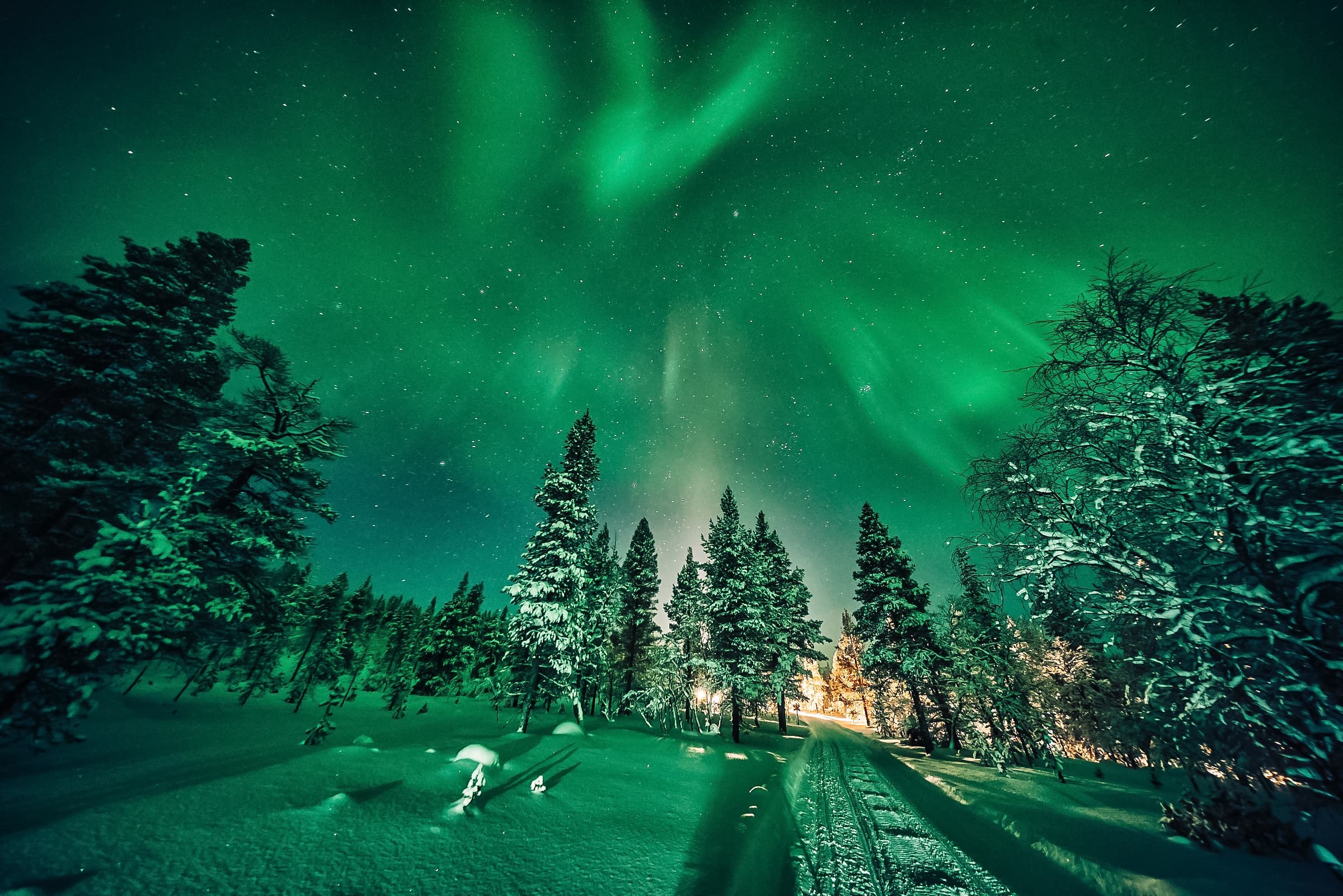 Discover the Magic of Reindeer and Sámi Culture in Saariselkä’s Winter Wonderland