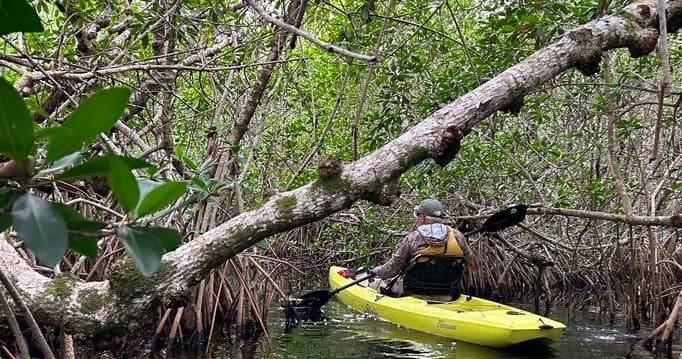 Kayak Adventure with Turner Eco Expeditions in Chokoloskee
