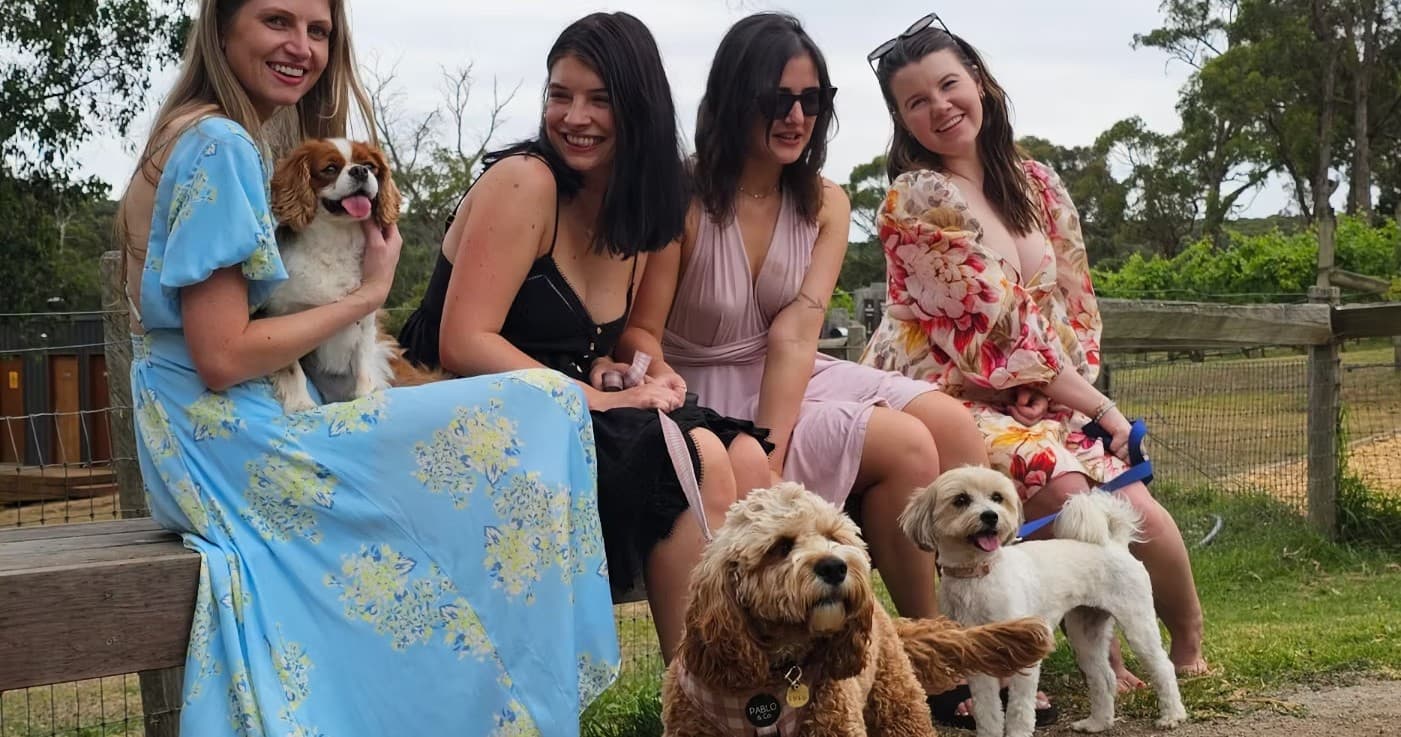 Gold Crawl Wine Tours with Pup Crawl Limos in Melbourne