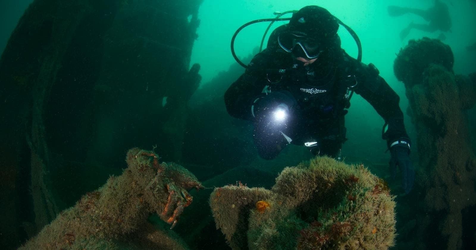 First Breath: Scuba Discovery Intro Dive in Ulladulla