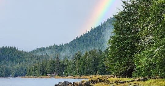 Ketchikan Rainforest Eco Hiking Tour — Settlers Cove Old-Growth Hike