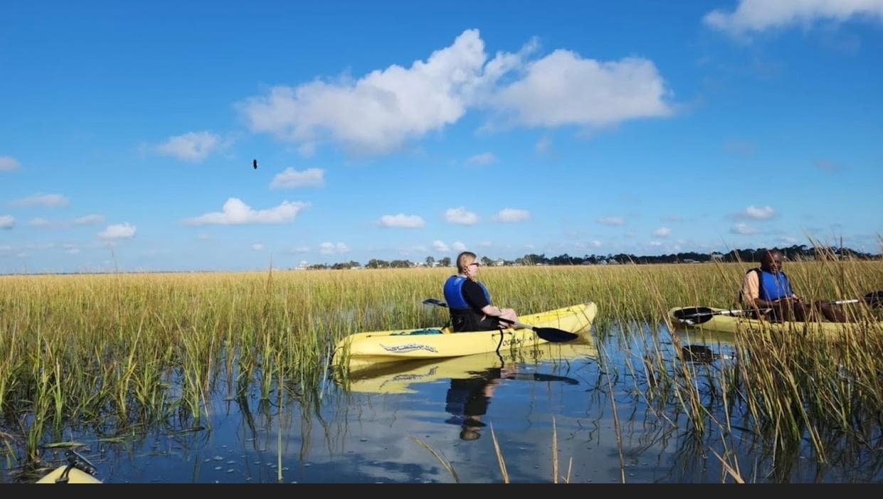 Explore Hidden Waterways on Little Tybee Island Kayak Adventure
