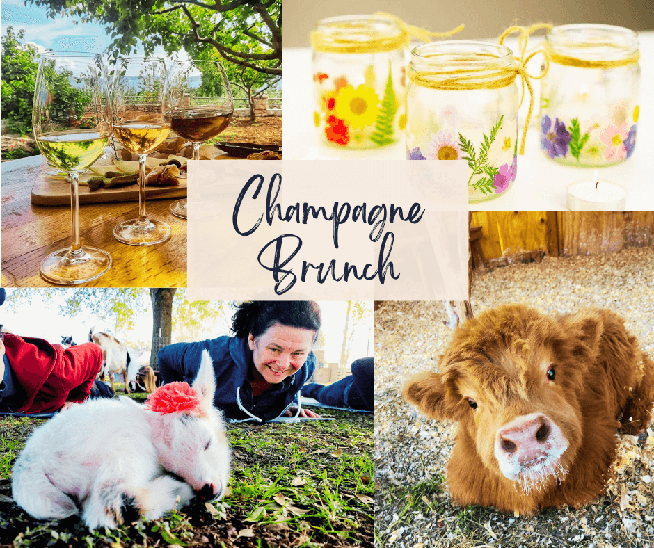 Champagne Brunch & Craft at Rose Therapeutic Farm, Texas