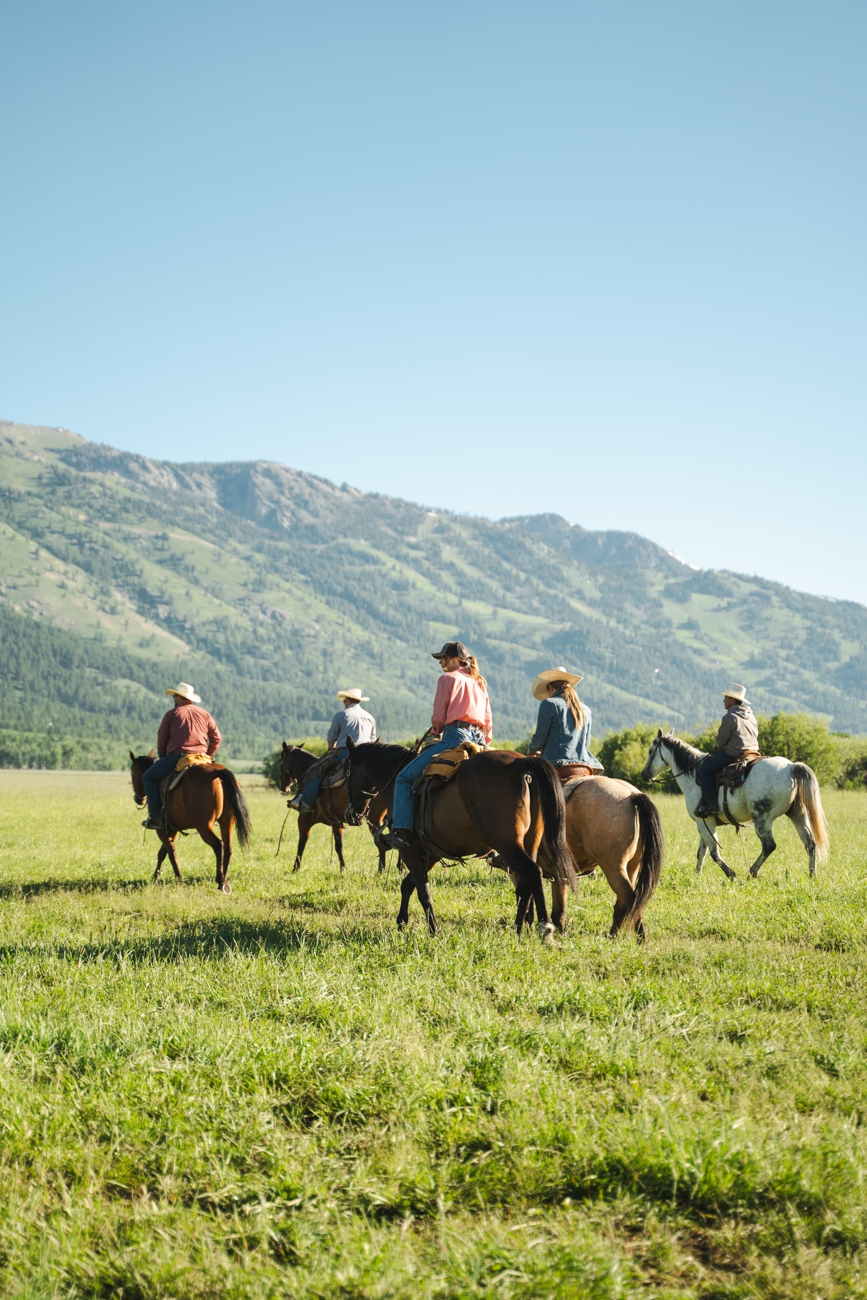 One-Hour Teton Village Trail Ride: Easy Jackson Hole Horseback Adventure photo 2