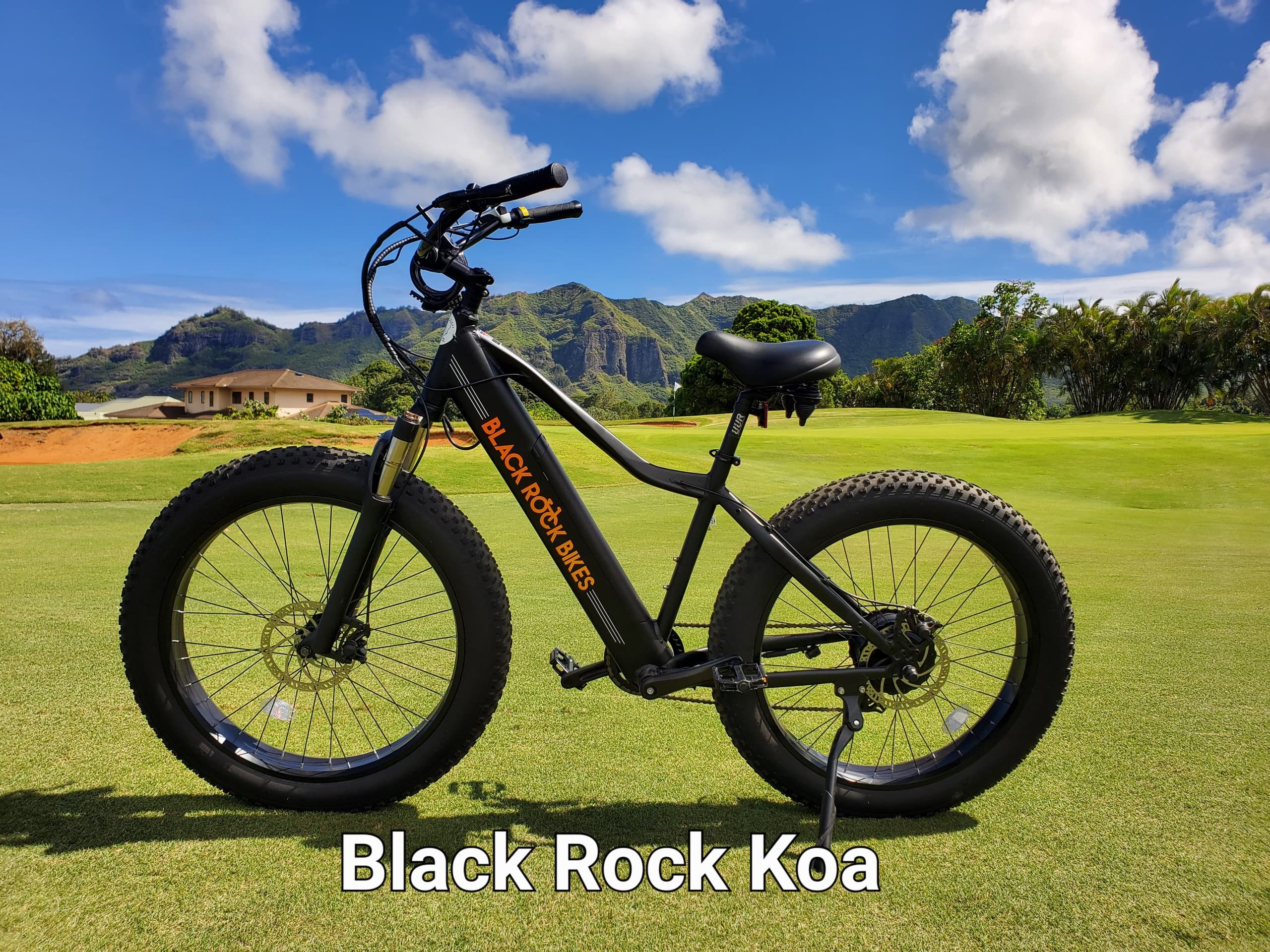 Electric Bike Adventures with Kauai Ebikes in Koloa