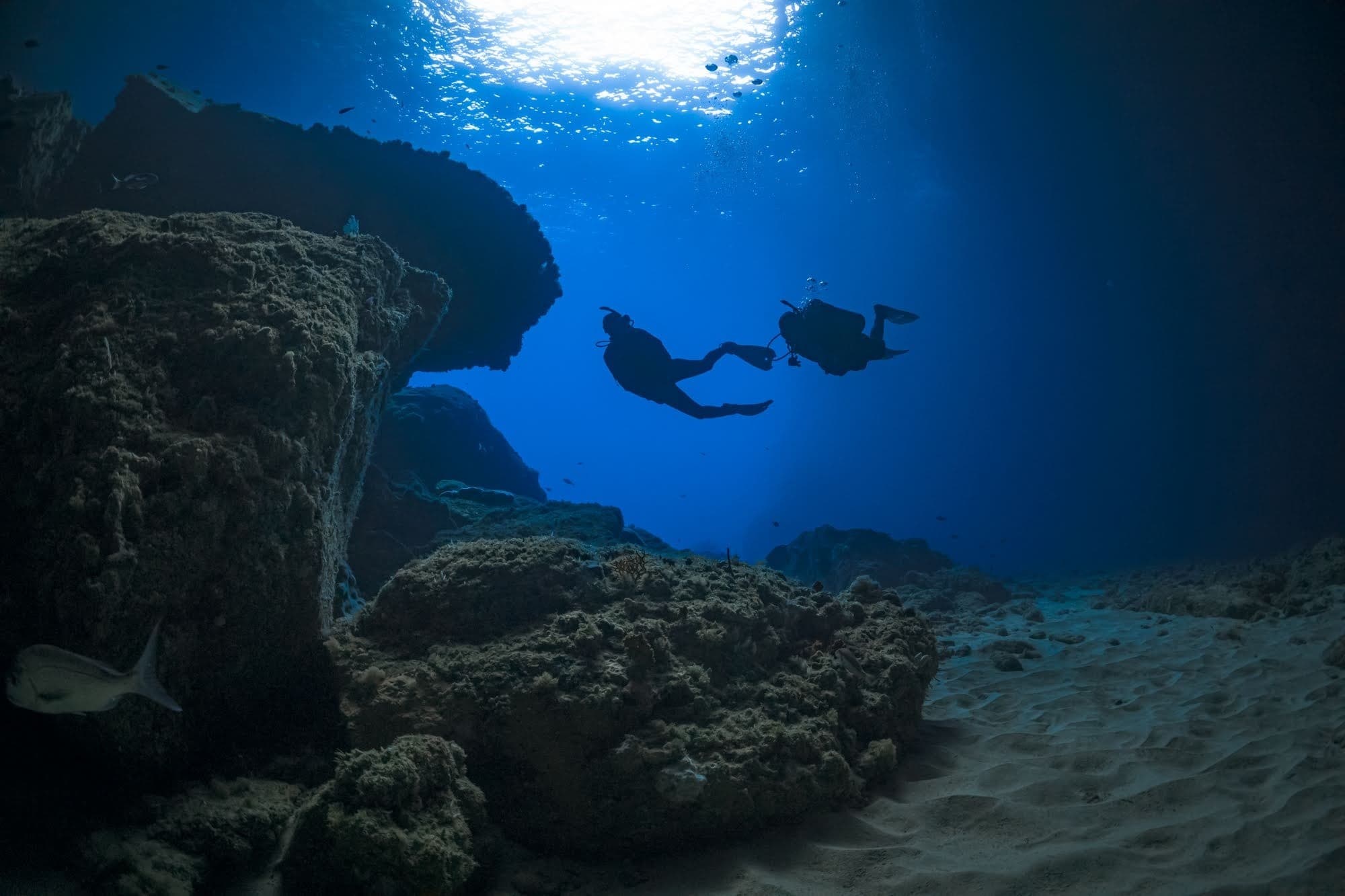First Breath at Poor Knights: Discover Scuba Dive from Tutukaka photo 3