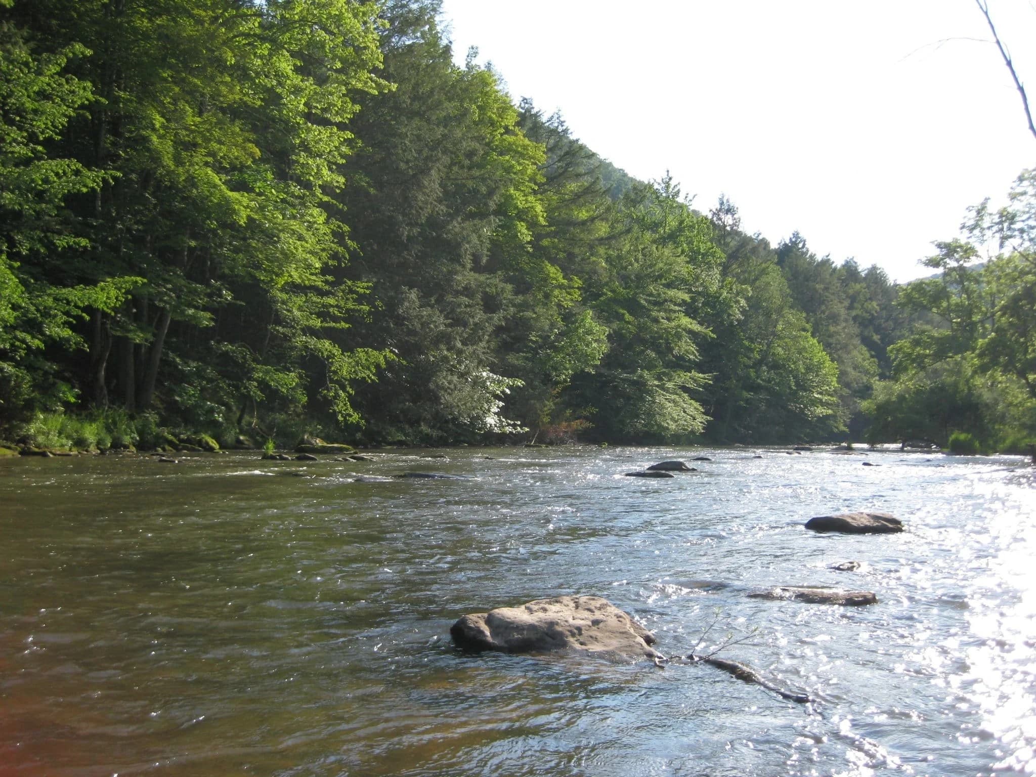 Walk-and-Wade Trout Fishing in State College: Guided Central PA Trout Trips