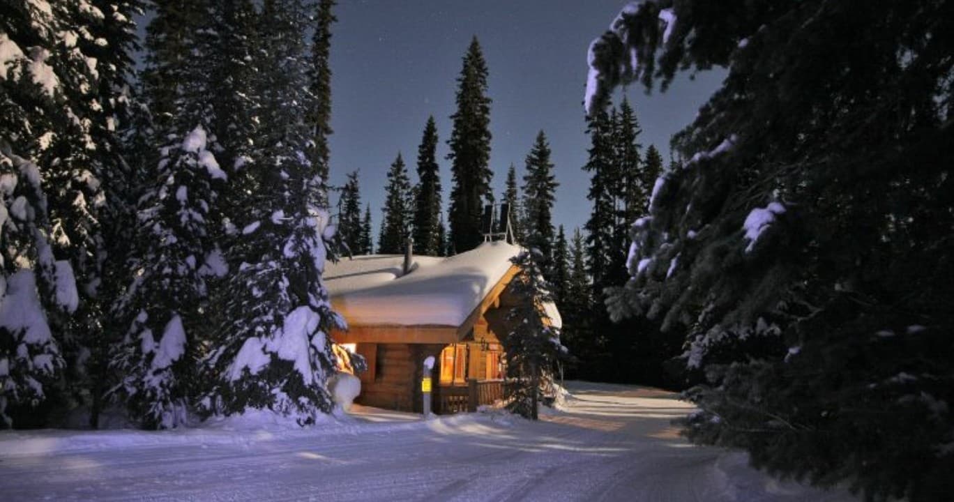 Winter Snowmobile Adventure with Mountain Man Dog Sled Adventures