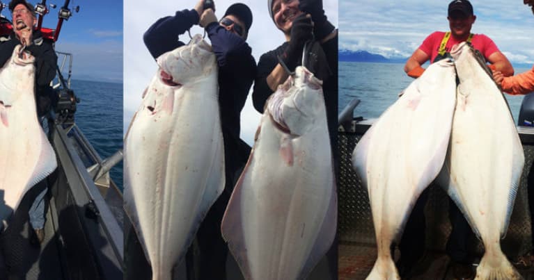 Halibut Fishing Trips with Discover Alaskan Adventures in Ninilchik
