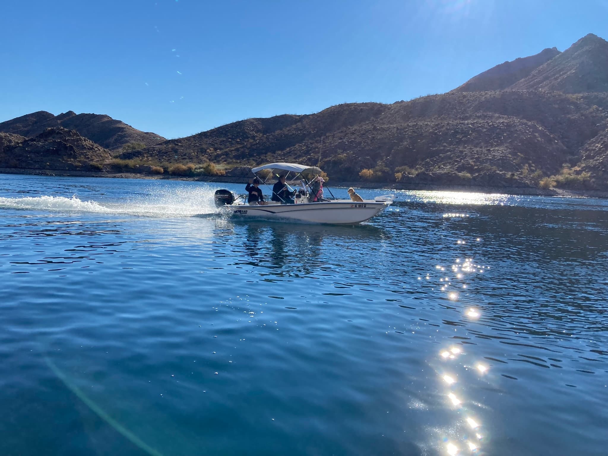 Willow Beach Marina fleet
