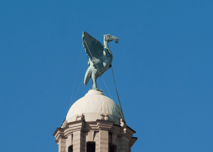 Walk Liverpool’s Liver Birds: Highlights Tour of Derby Square & Pier Head
