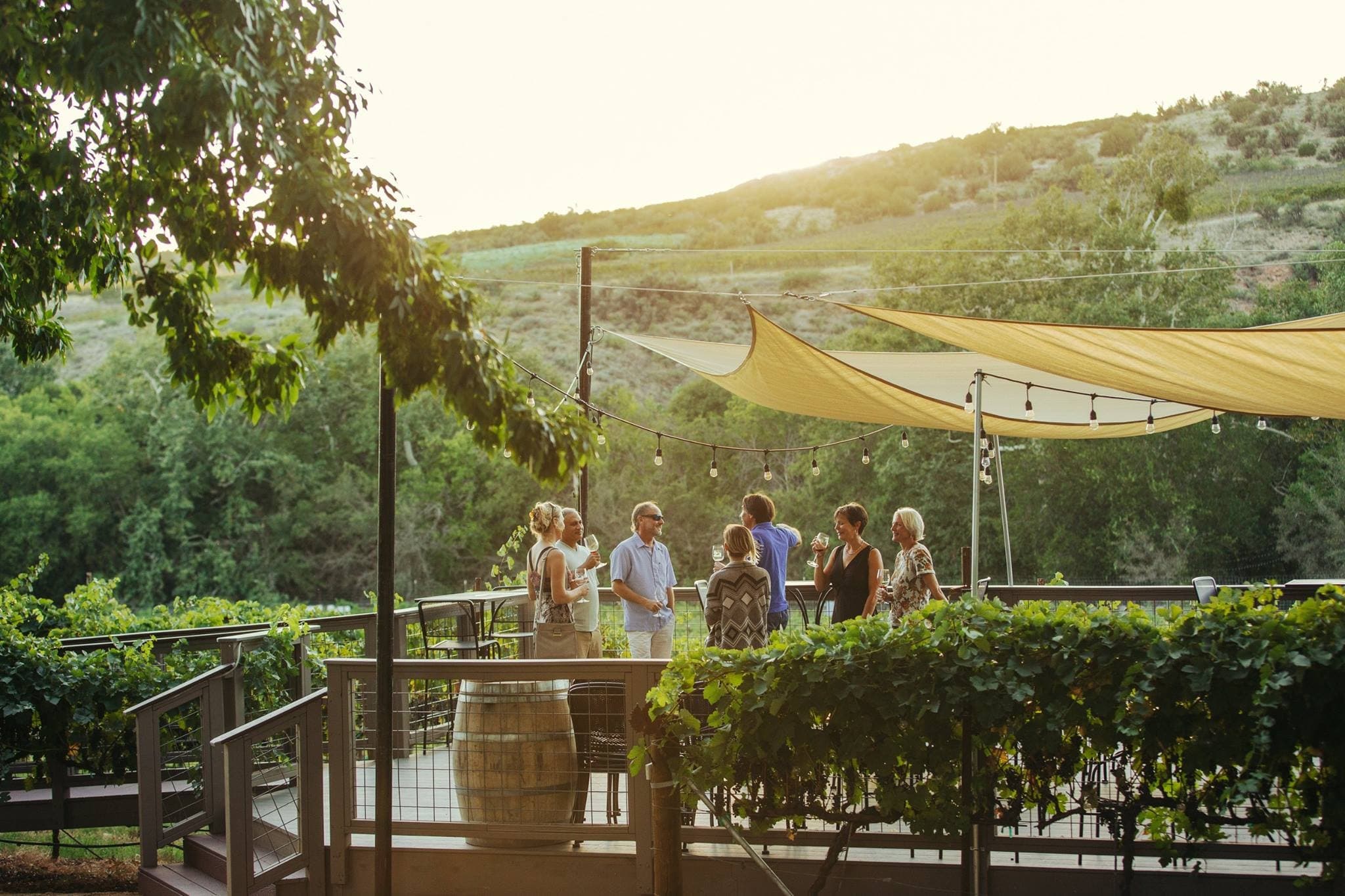 Unwind on a Sedona Wine Tour with AZ Winery Tours