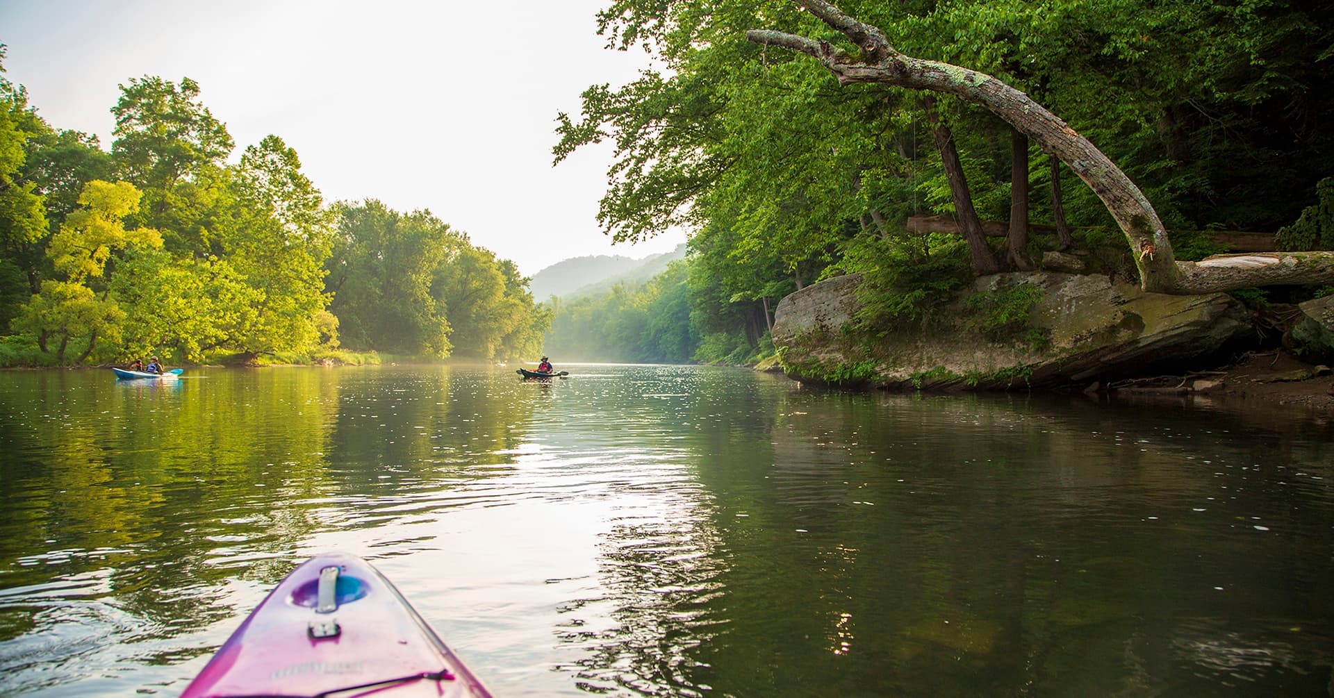 Dawn Paddle Along the Allegheny: Kinzua Dam to AO Morning Tour