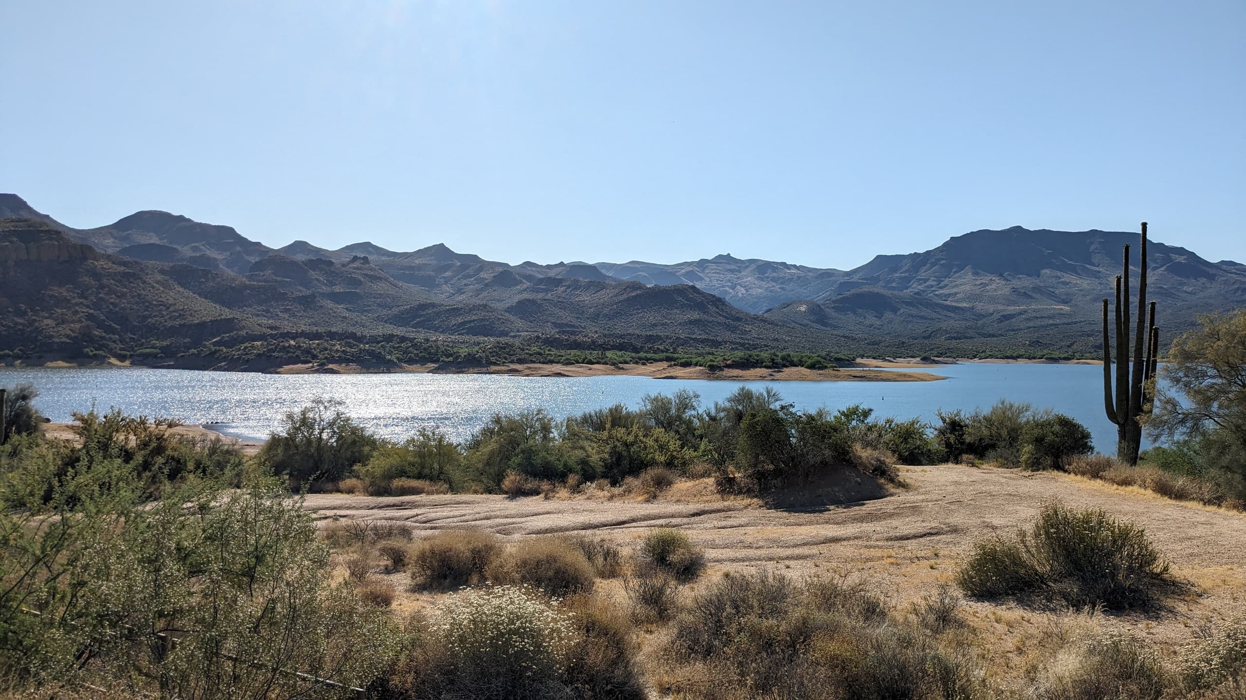 Desert lake panorama with saguaro cacti and distant mountain range