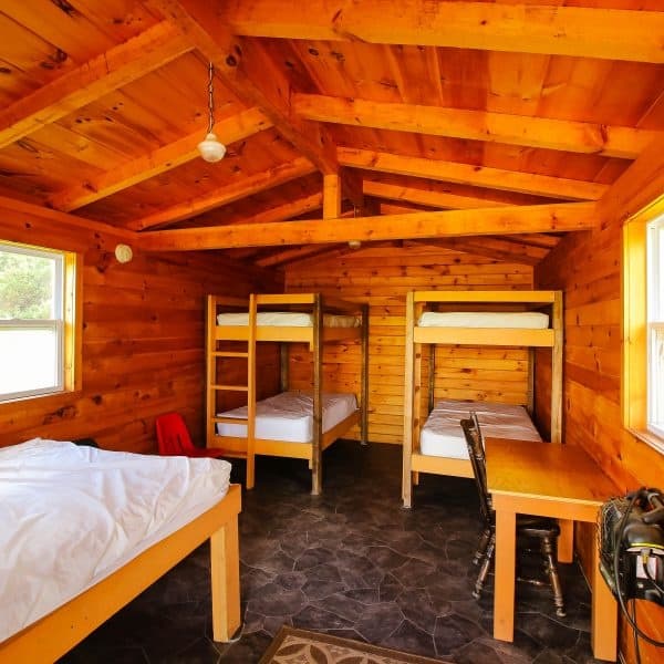 Spruce Cabin: Off-Grid Trailside Cabin in Andover, NY photo 1