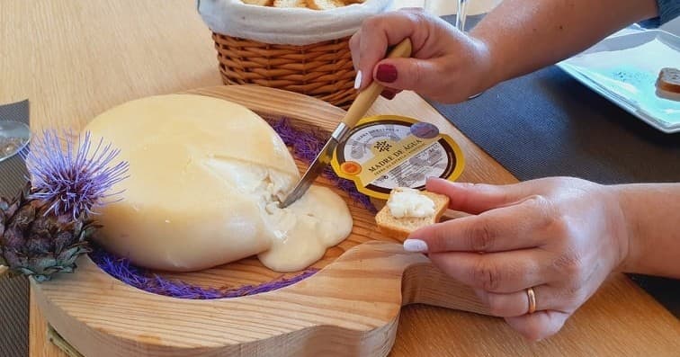 Gourmet Food & Wine Experience at Serra da Estrela Farm