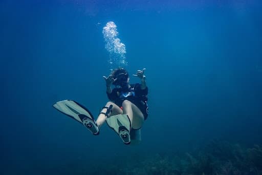 Scuba & Snorkel Adventures with Islamorada Dive Center