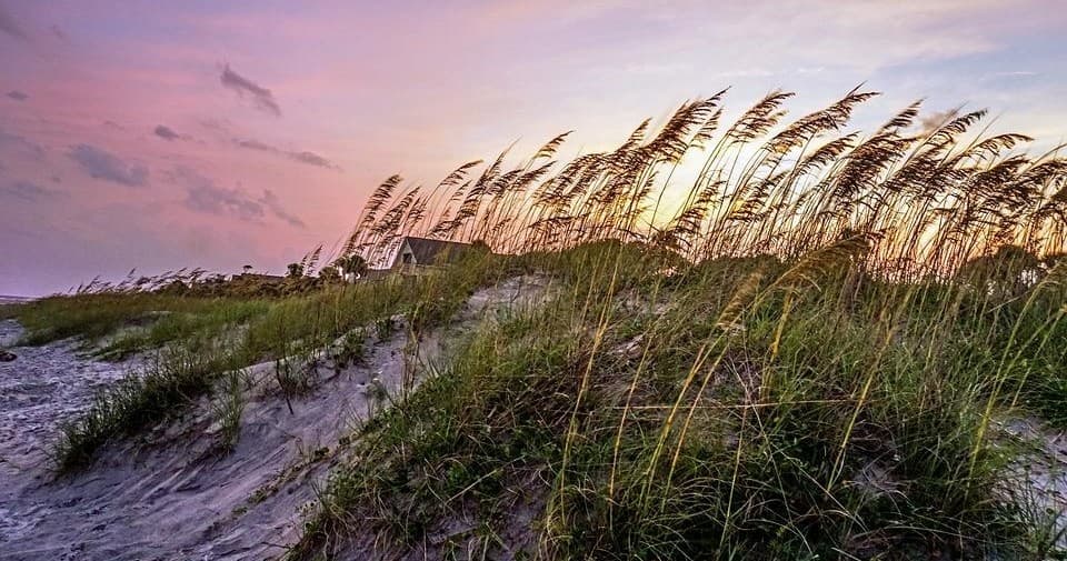 Coastal sand dunes with sea oats at sunset on Hilton Head