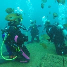 Offshore Two-Tank Gulf Dive 9+ Miles from Fort Walton Beach