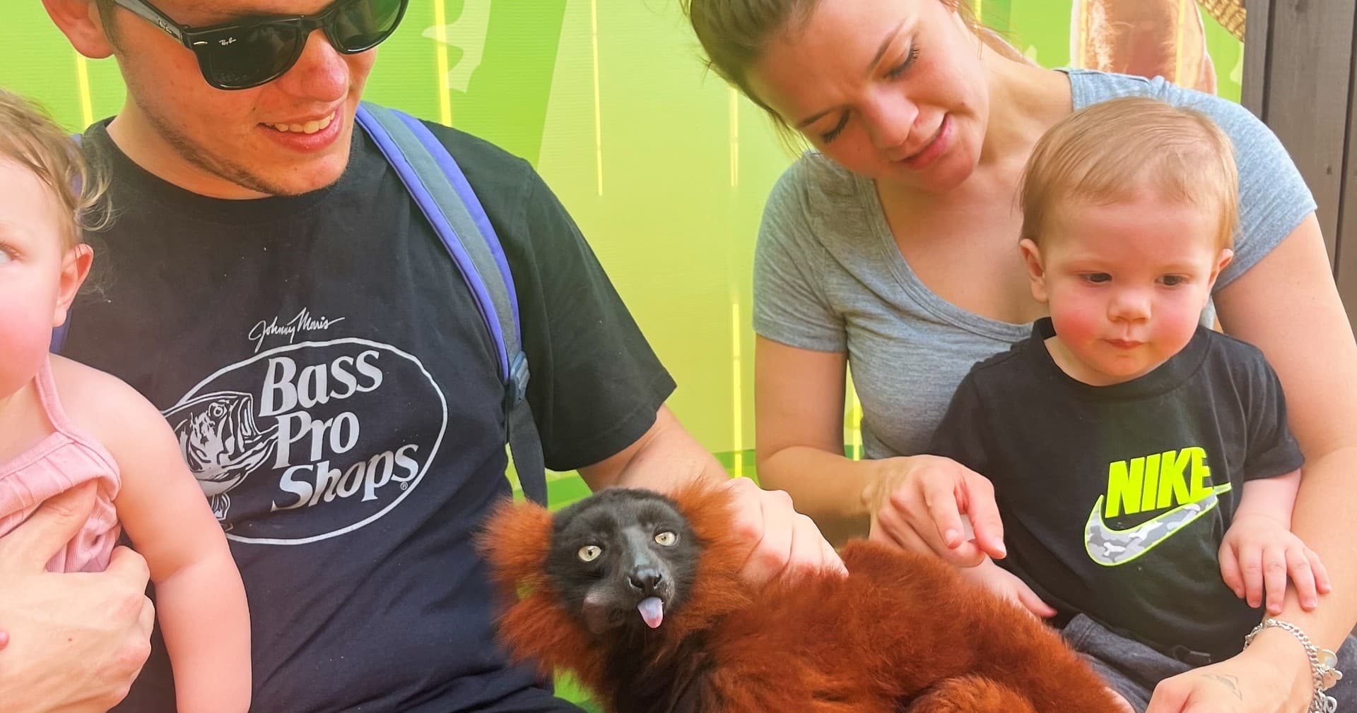 Red Ruffed Lemur Private Encounter in New Braunfels, TX