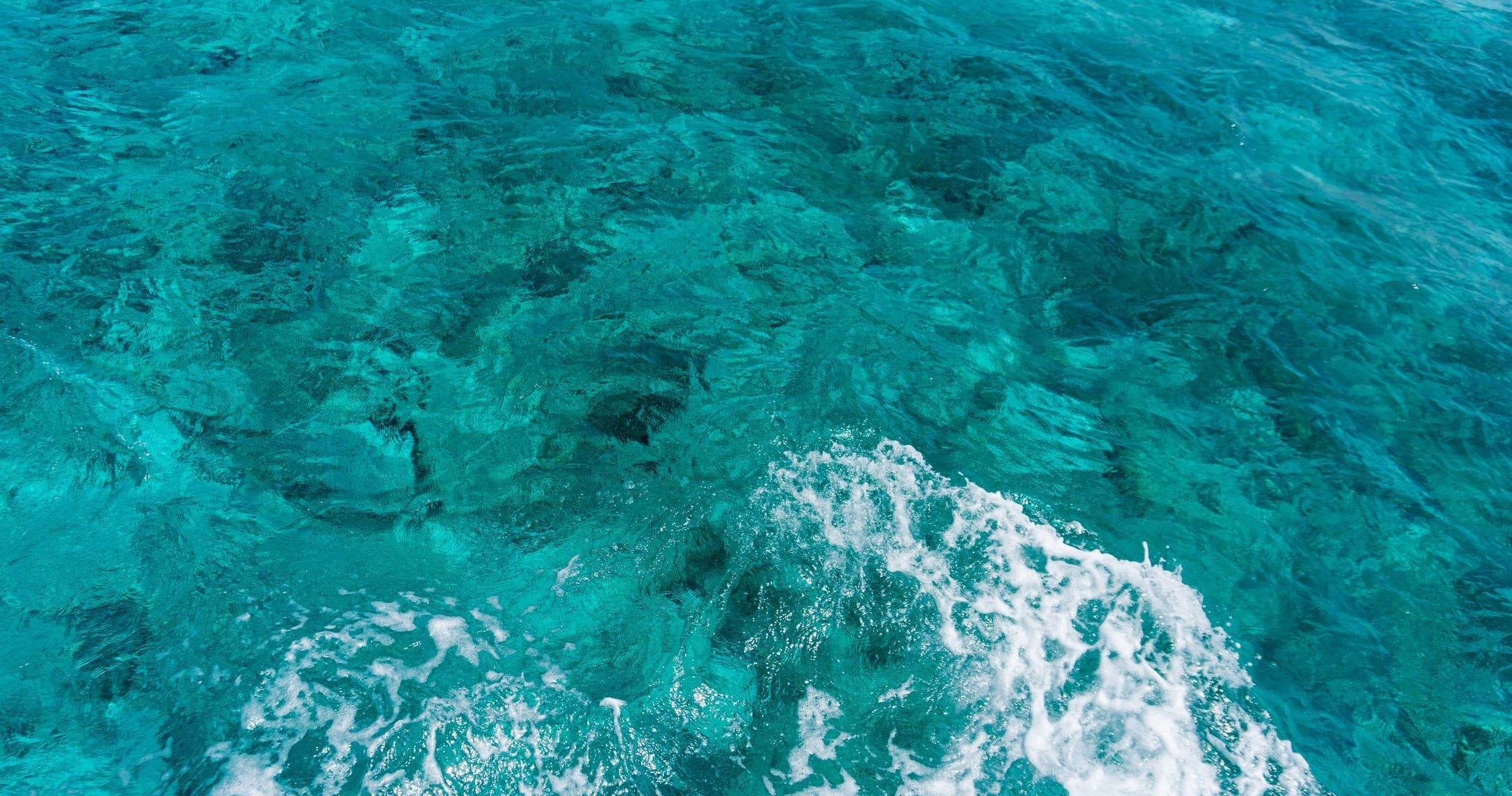 Educational Marina-Snorkel Tour in Fajardo, Puerto Rico
