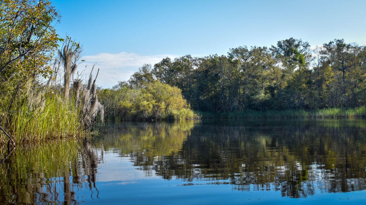 Paddle the 6-Day Wilderness Waterway with Everglades Adventures