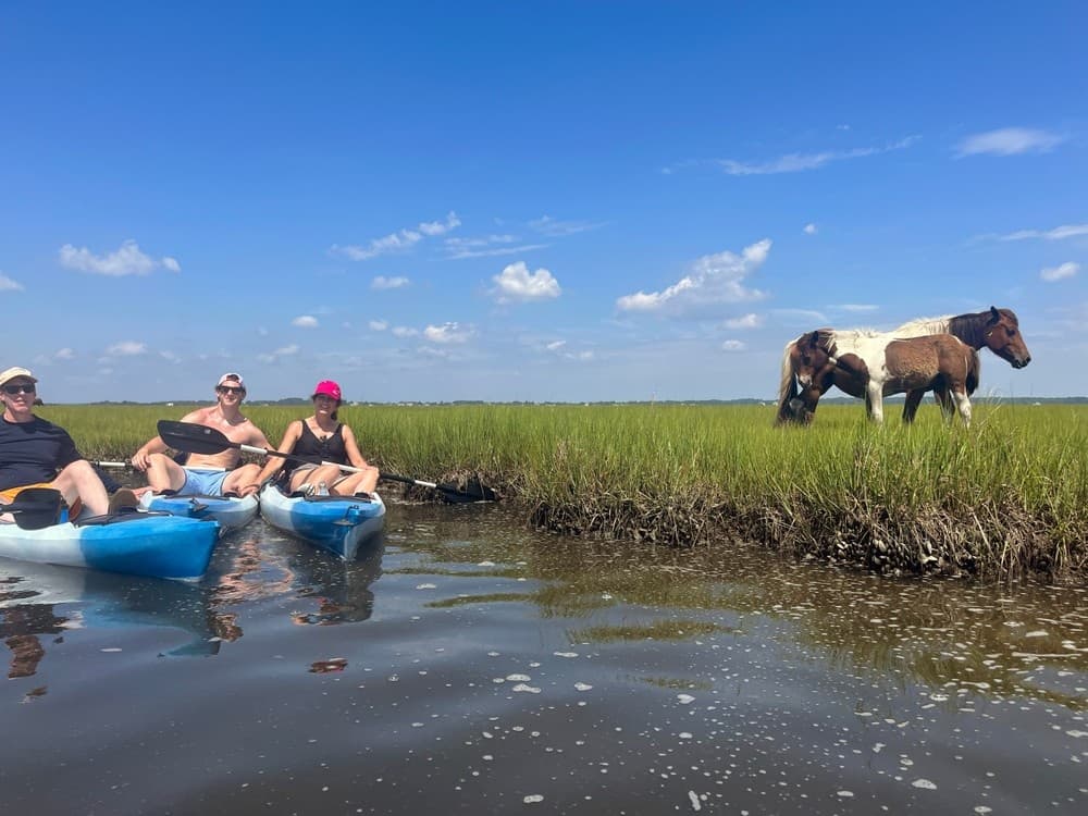 Two Hour Watersports Rental at Bayside Stand, Maryland