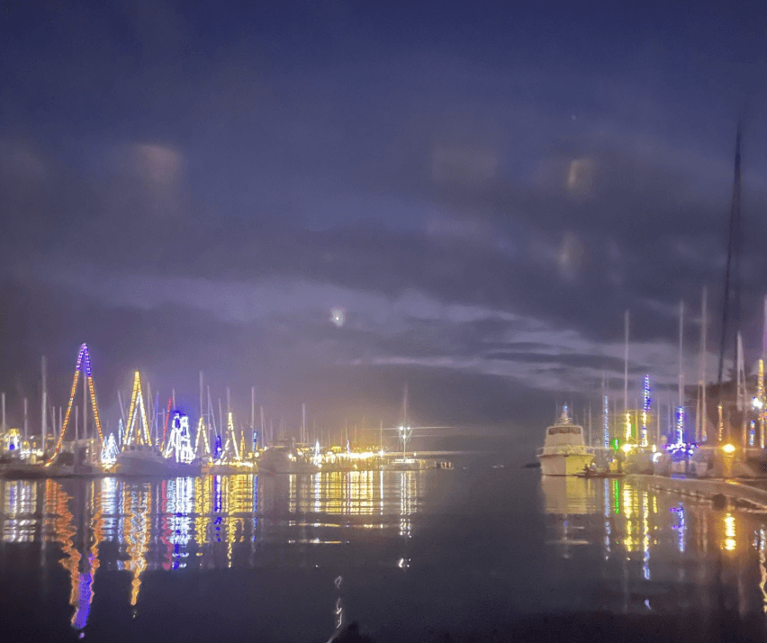 Marina at night with festive lights reflecting on water
