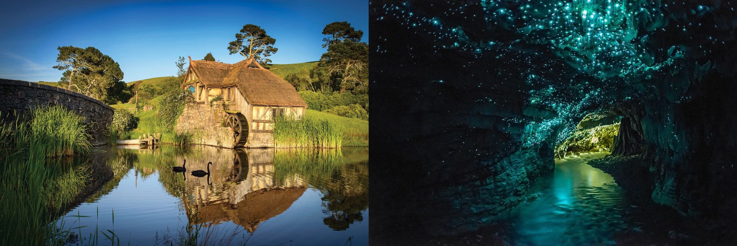 Private Hobbiton & Waitomo Tour by Auckland & Beyond