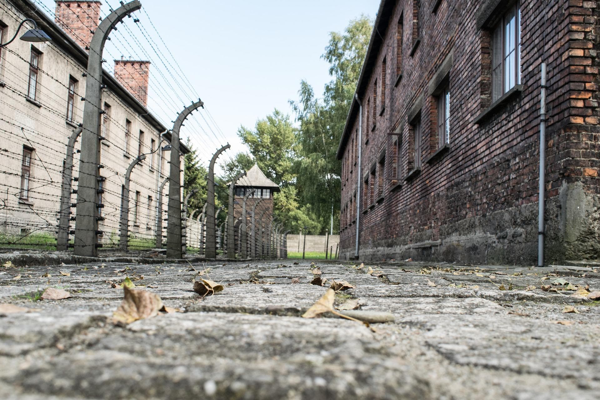 Historical Tours & Education at Auschwitz Birkenau