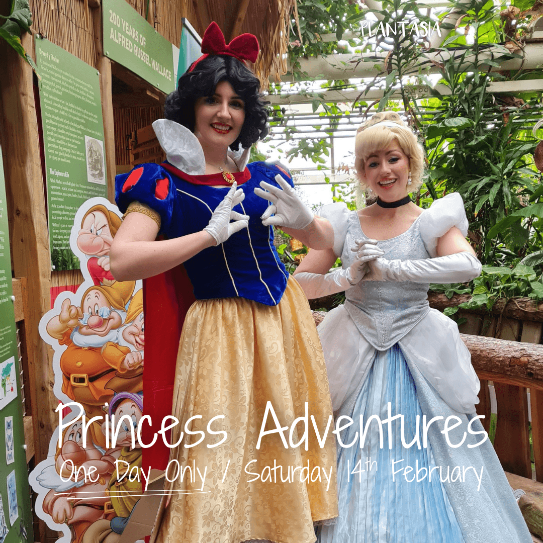 Princess Adventures at Plantasia Tropical Zoo: Family Sing-Alongs & Meet-and-Greets in Swansea