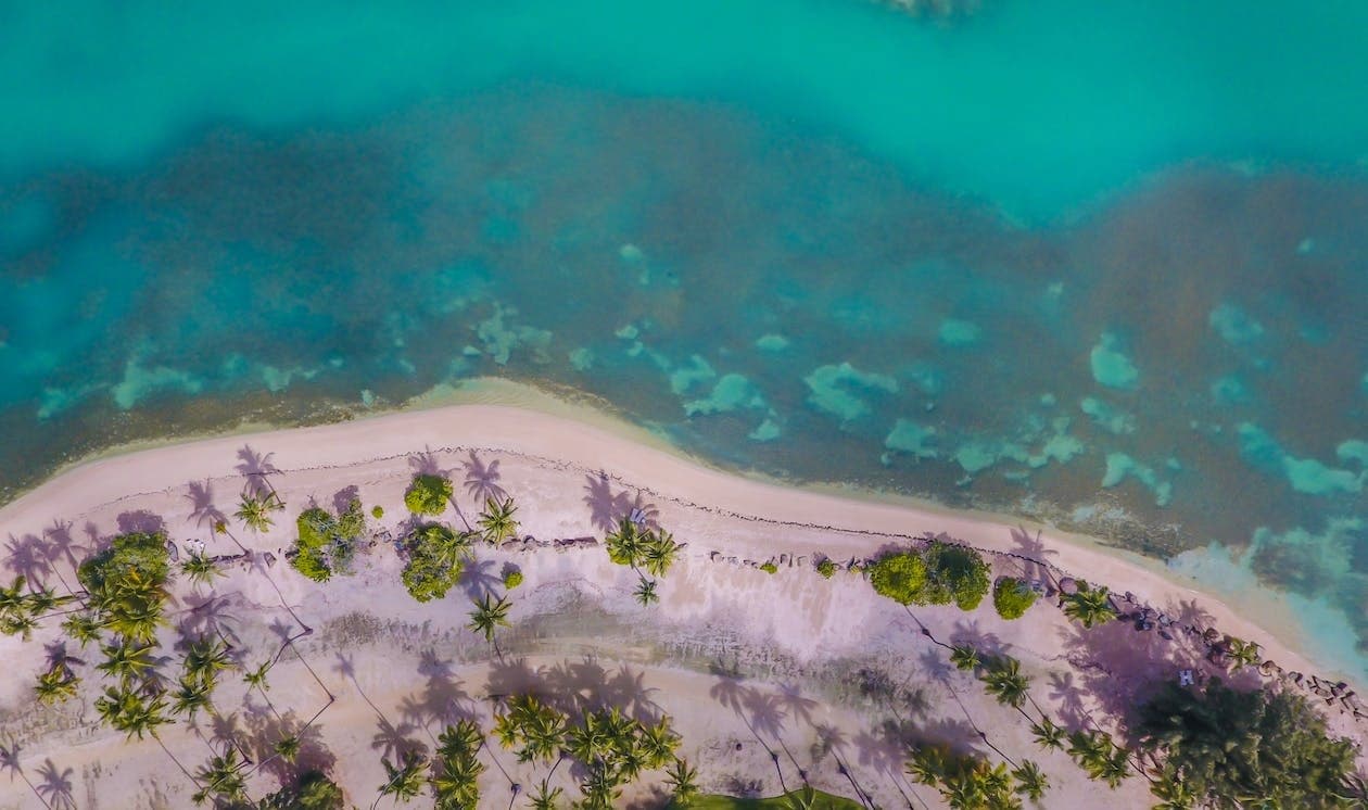 Aqua Venture Snorkeling Experience in Ceiba, Puerto Rico