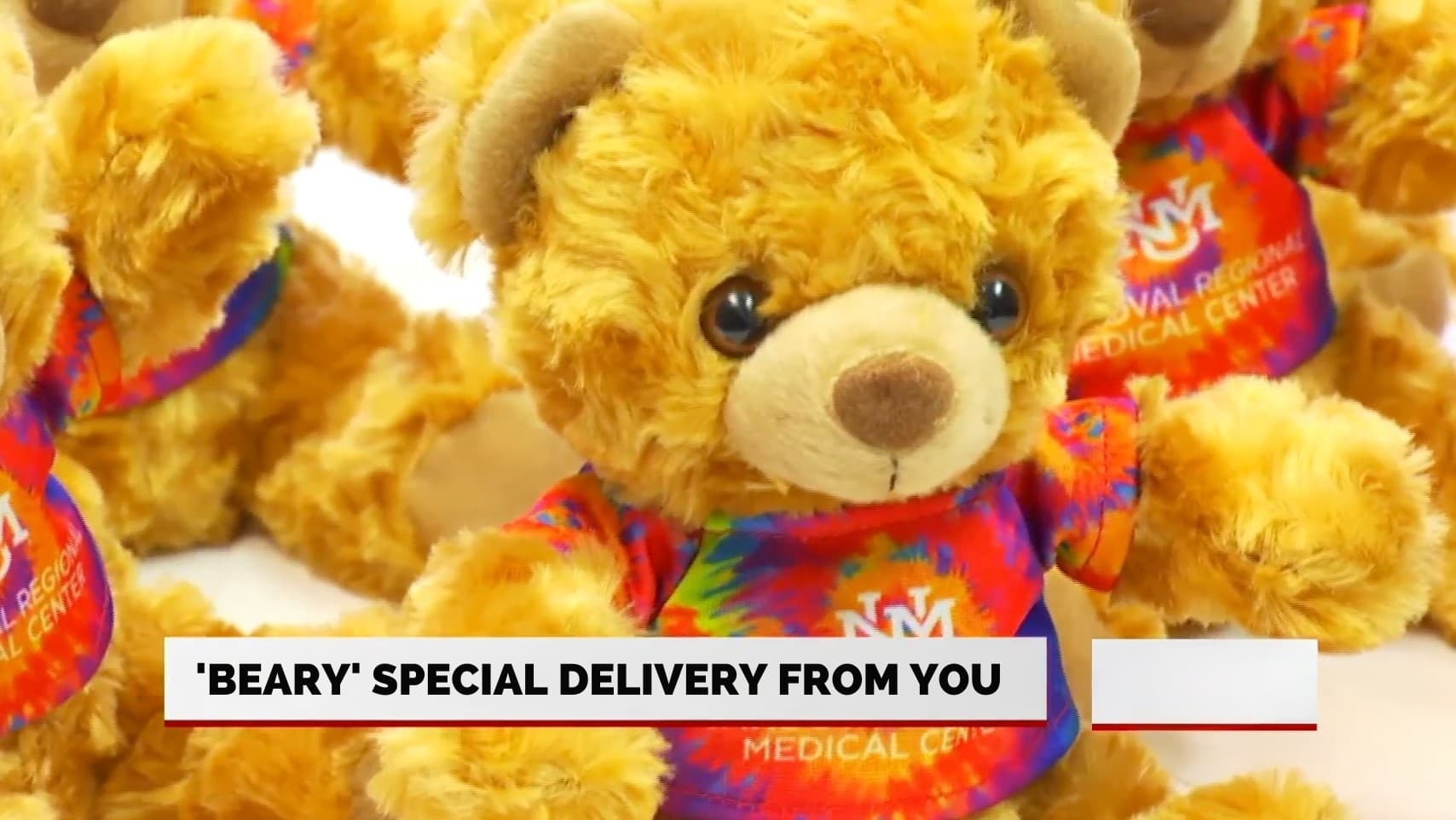 Teddy Bear Giveback: Team-Building Volunteer Workshop in Warren, MI