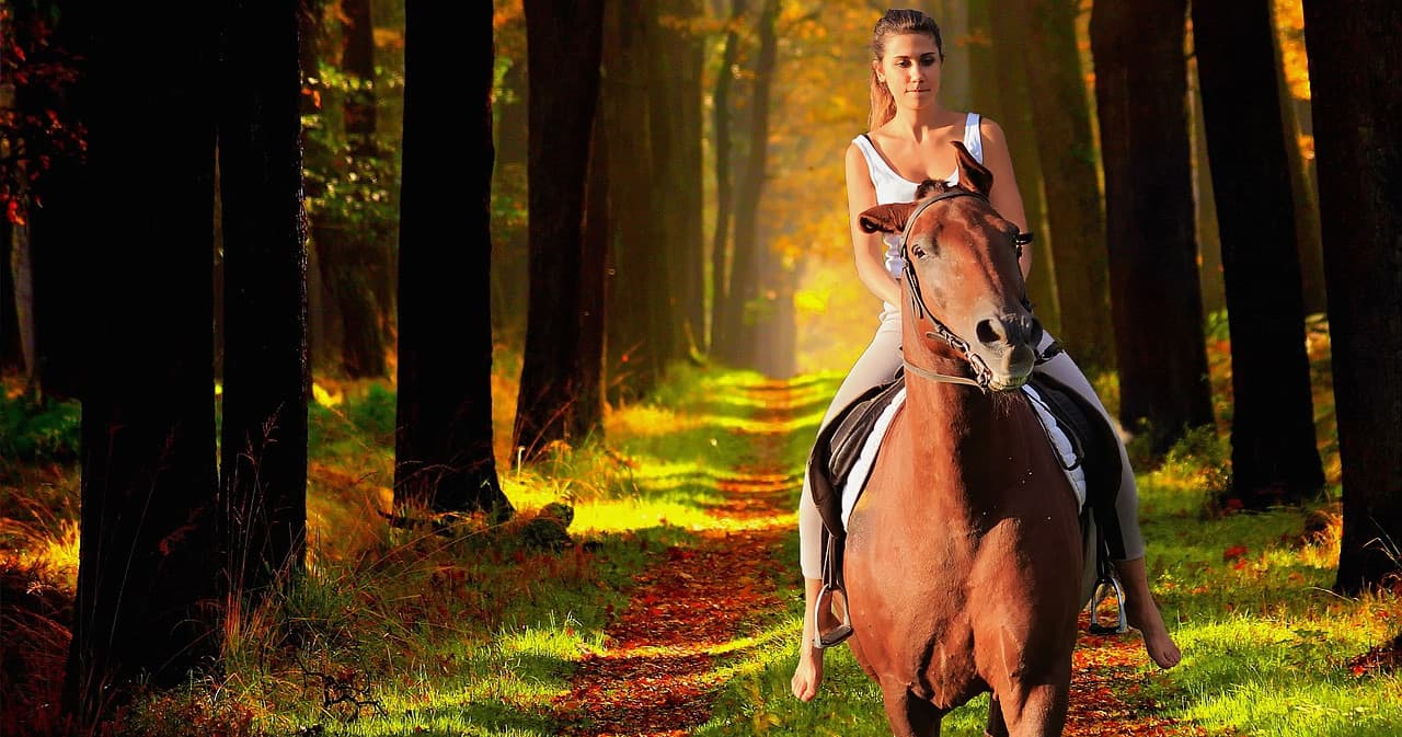 Guided Trail Ride with Sunshine Riding Trails in Chipley, FL