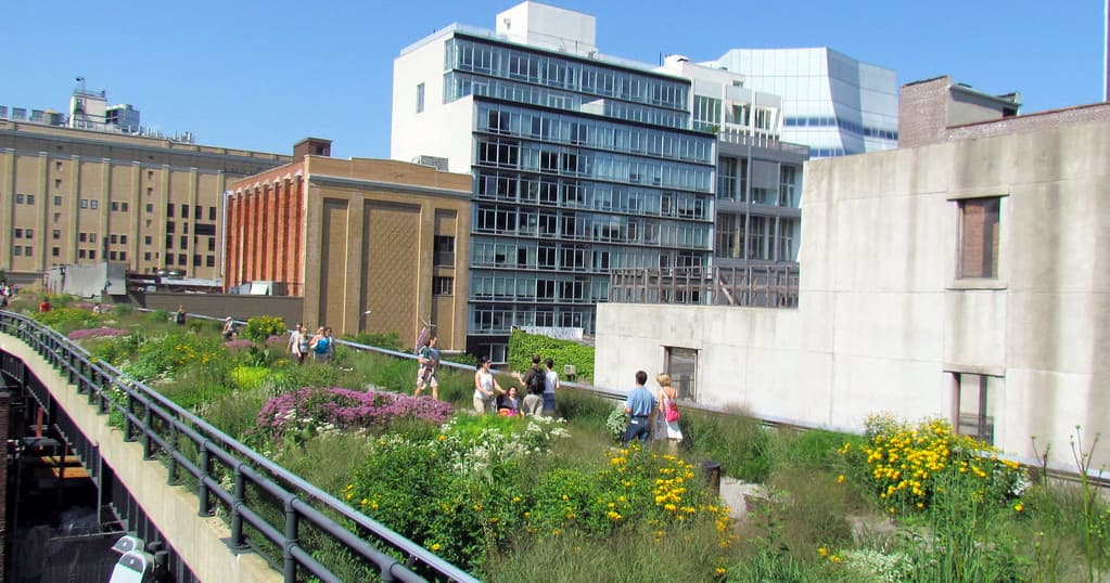 High Line Park Walking Tour by Marc Landman in NYC