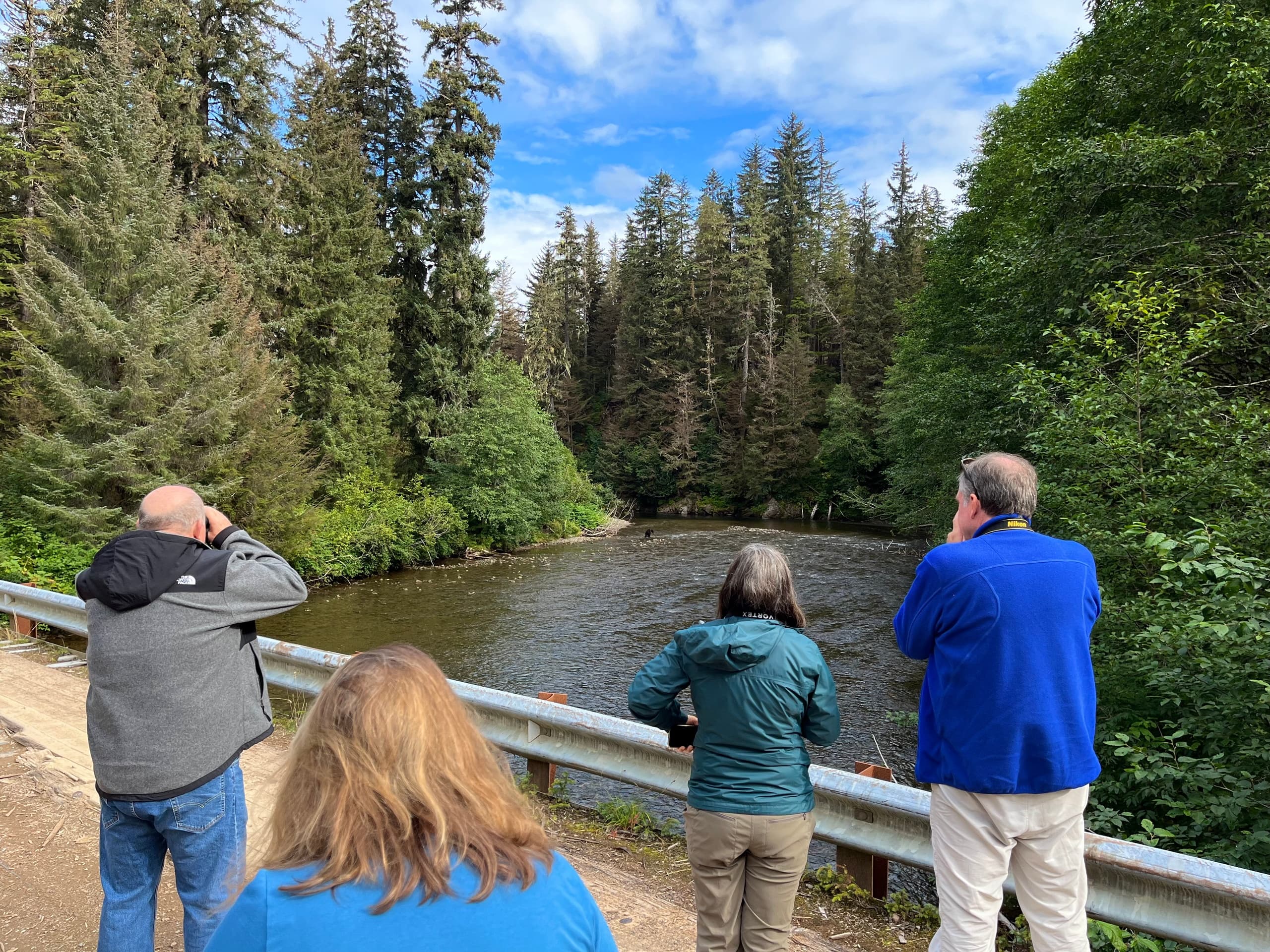 Wildlife & Birding in Hoonah with Icy Strait Birding Tours