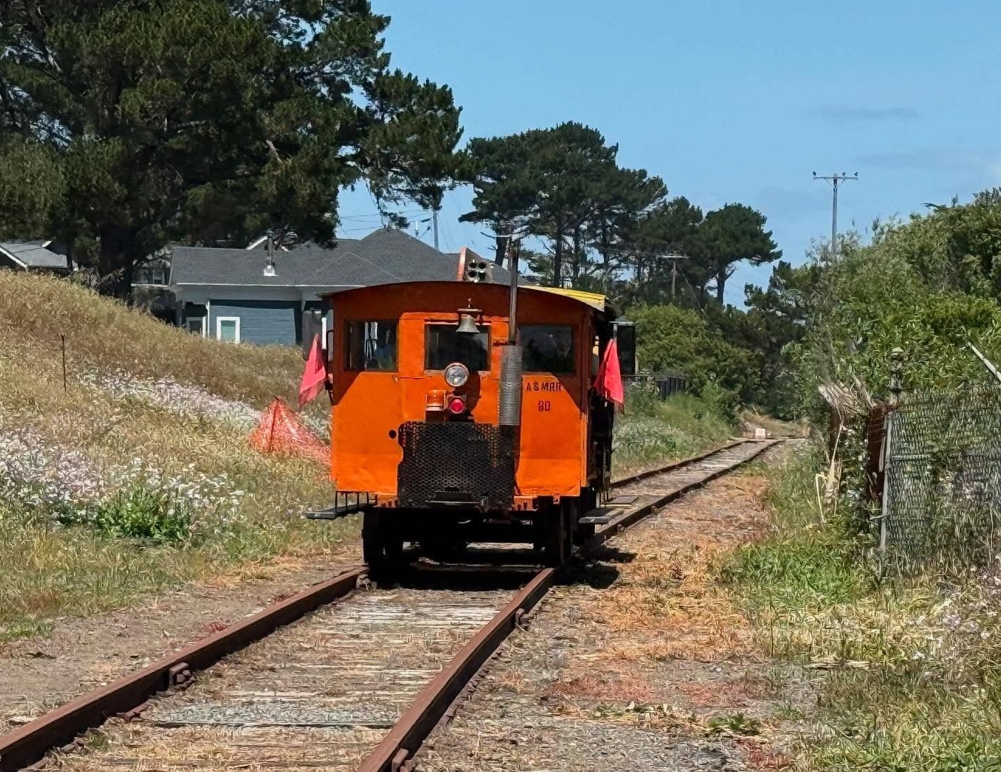 Historic timber railcar traveling along coastal tracks through grassy dunes