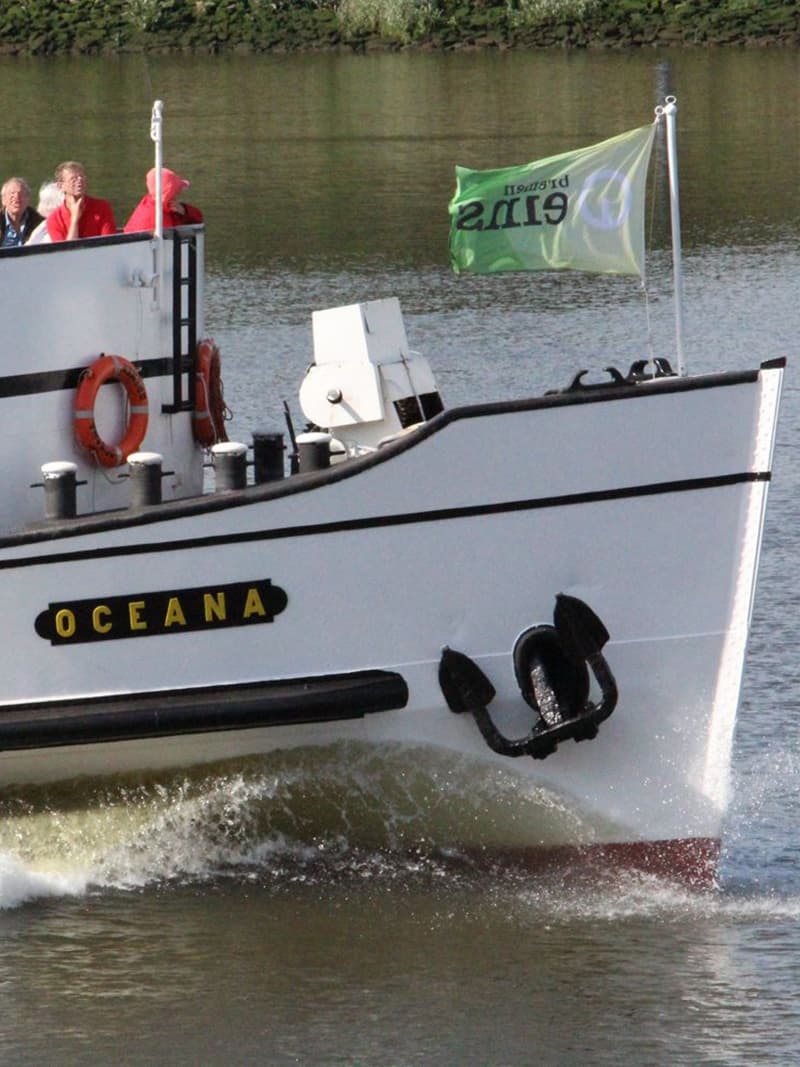 Water Transit & Scenic Views with Hal Över in Hamburg