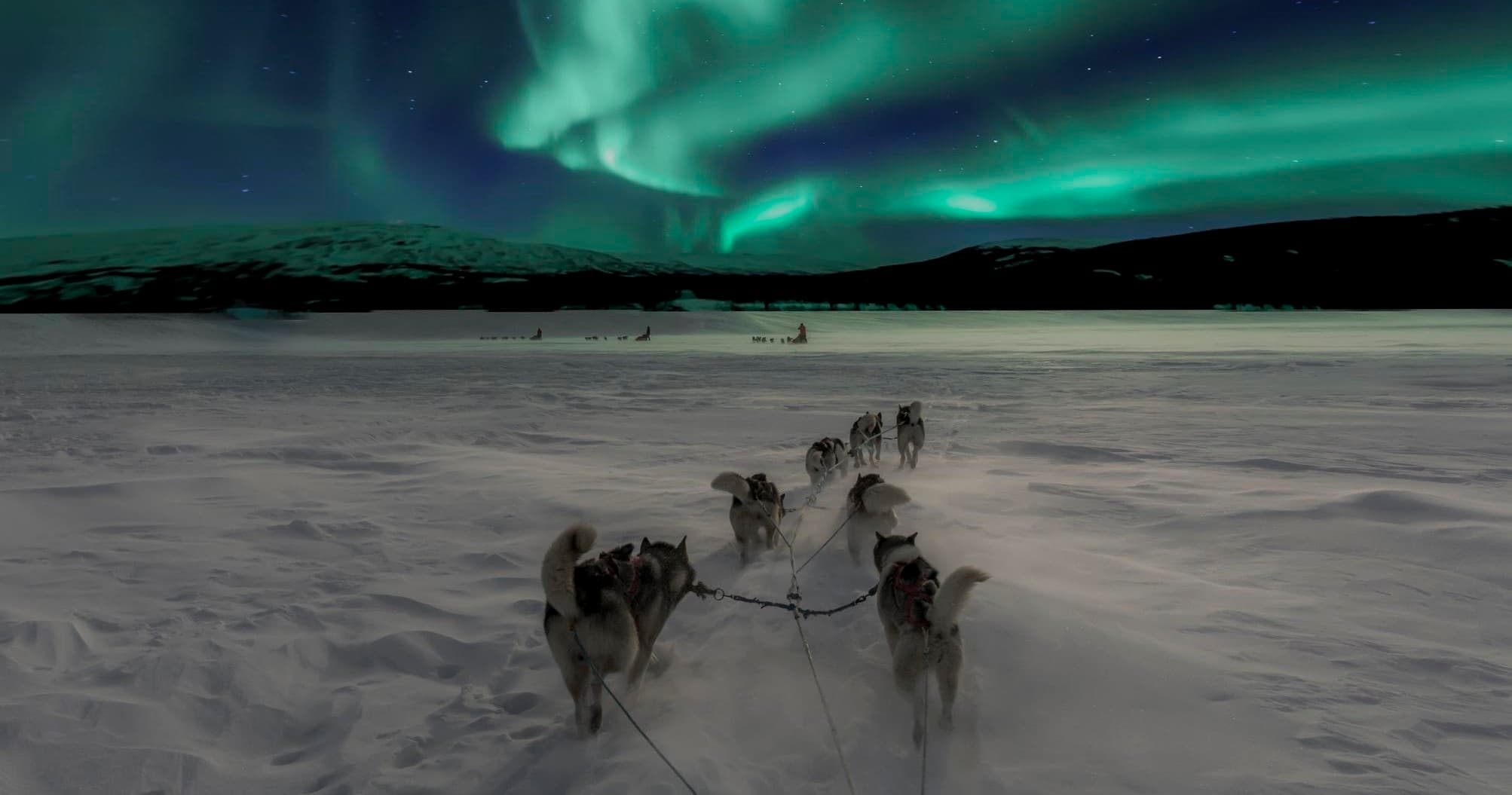 Aurora borealis above dog sled team crossing snowy tundra
