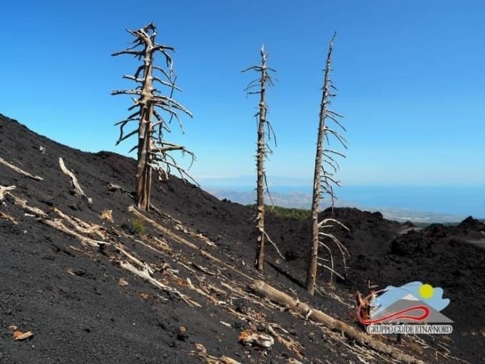 Gruppo Guide Etna Nord team