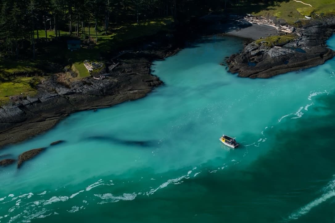 Heli Herring Tour: Comox Herring Spawn Helicopter & Boat Experience photo 1