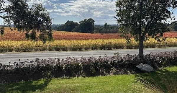 Land Adventures in McLaren Vale: Wine Tour with Experience SA Wine Tours