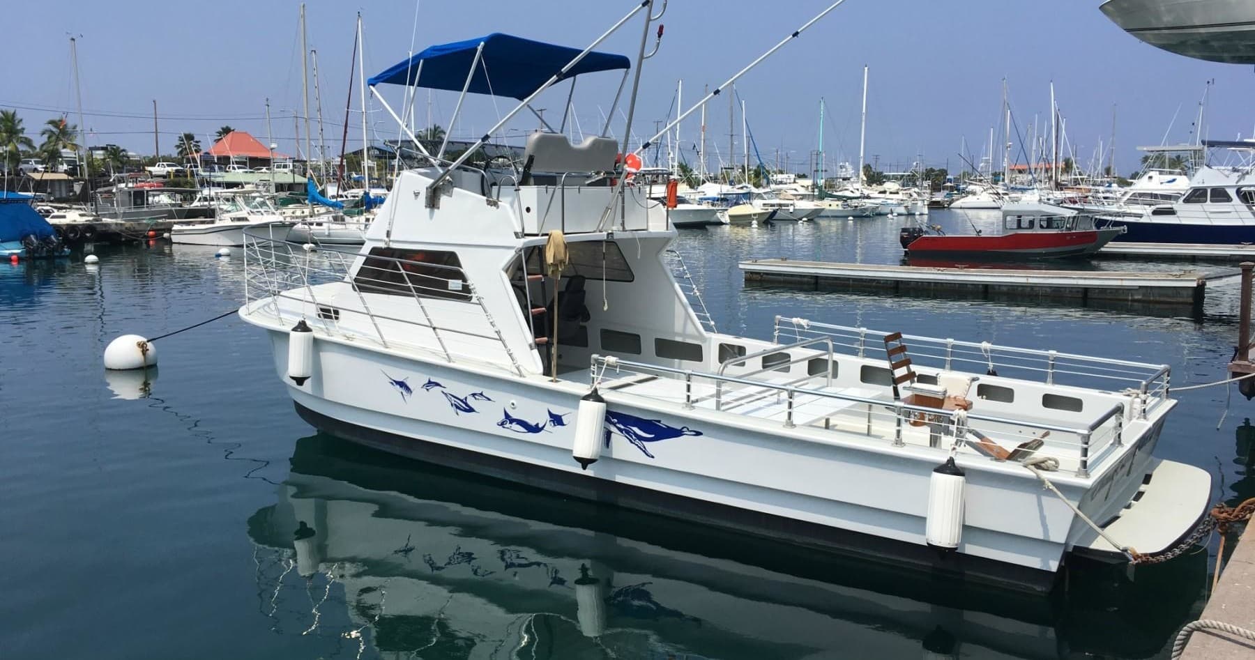 Private Charter OE2: Dolphin & Whale Watching in Kailua-Kona