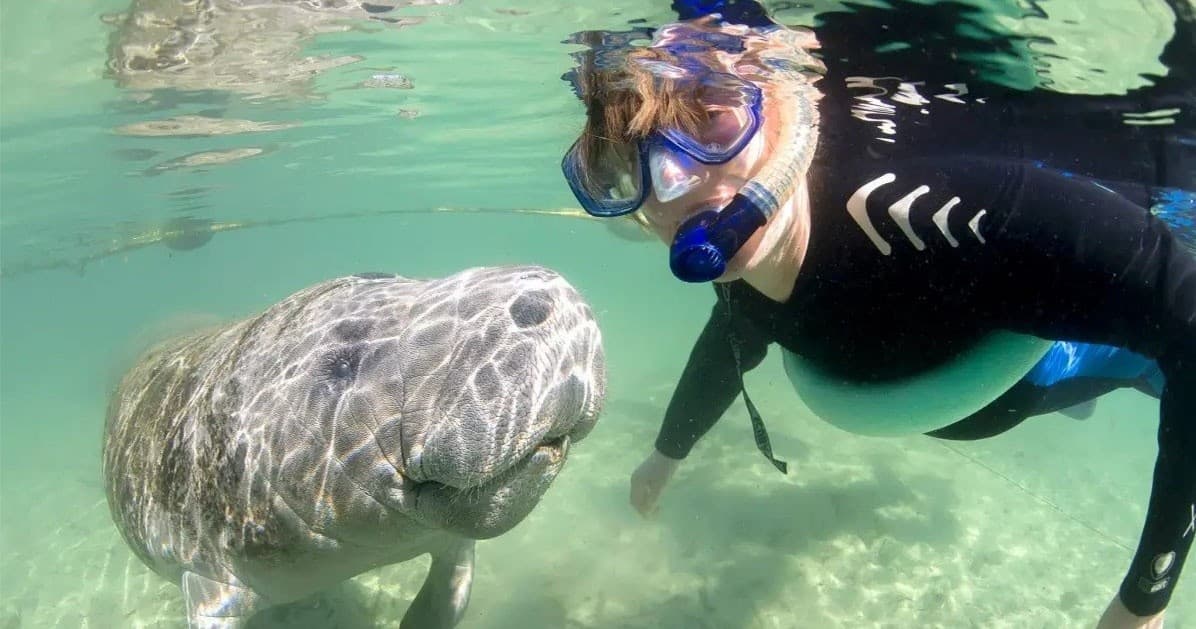 Nature Coast Manatee Adventures team