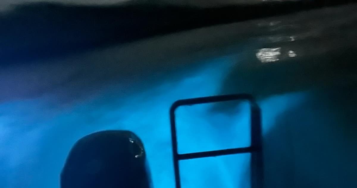 Bioluminescent Bay by Parguera Boat Excursions