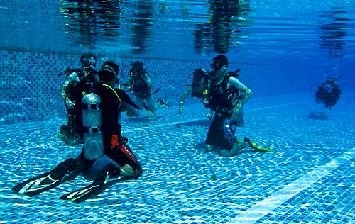 Pool Refresher and ReActivate Course in Monterey: Sharpen Your Dive Skills Safely