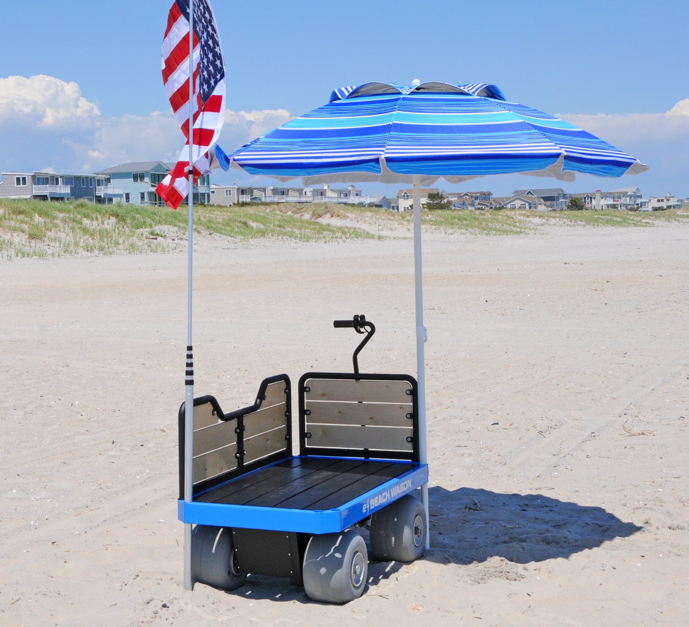Roll Less, Play More: Electric Beach Wagon Rentals on Fort Myers Beach photo 1