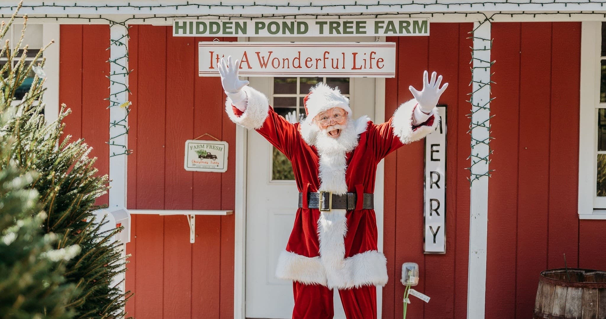 Christmas Tree Adventures at Hidden Pond Tree Farm, Mendham NJ