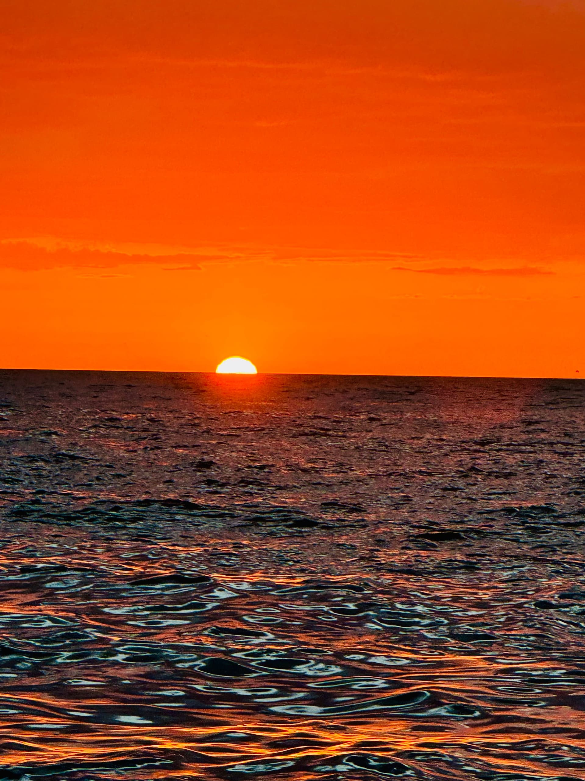 Anna Maria Island Private Sunset Cruise: 2-Hour Gulf Evening Sail photo 1