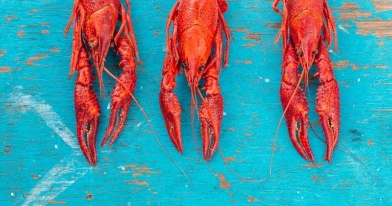 Cajun Cuisine Adventure at Baltimore Chef Shop